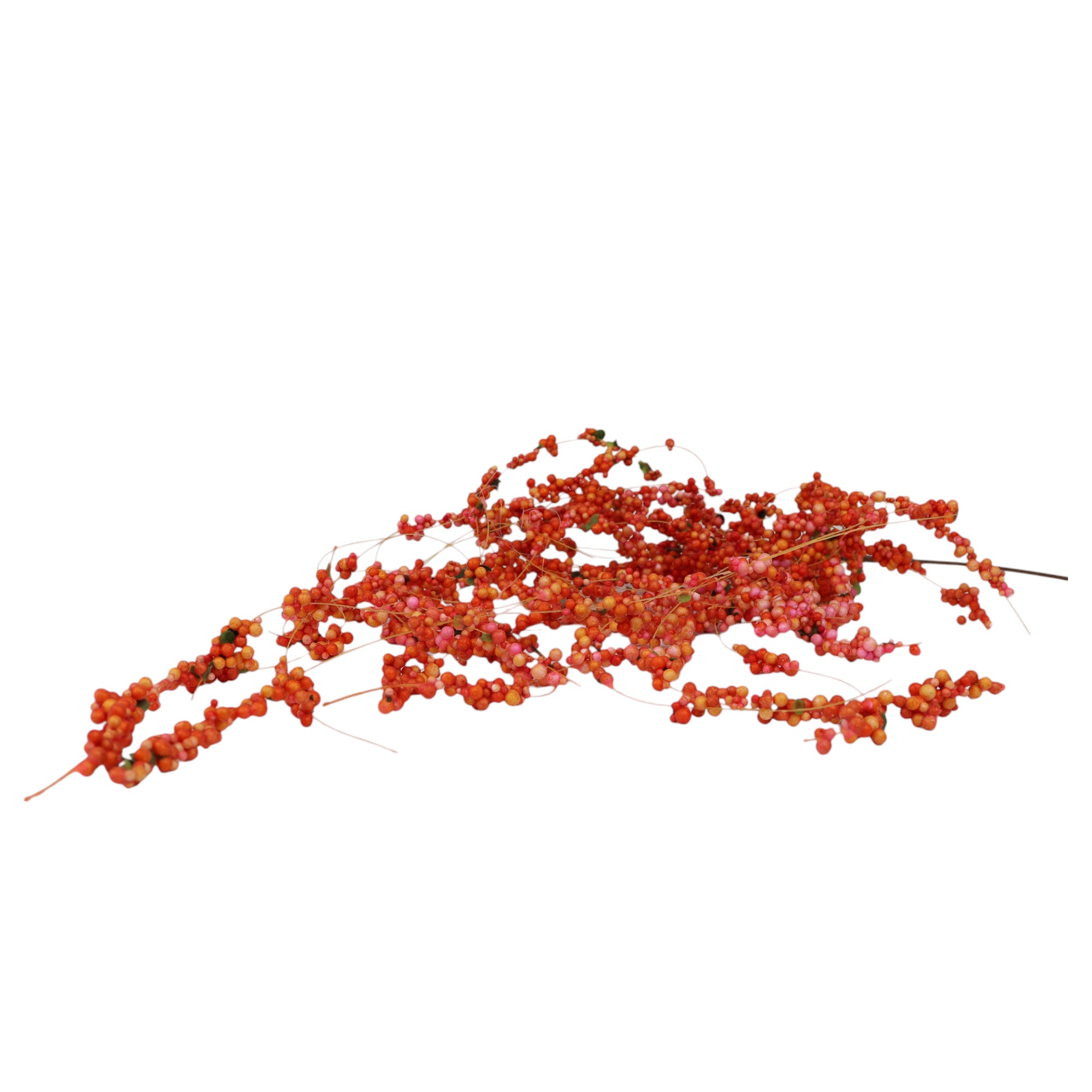 Sanddorn Beeren Picks